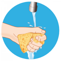 Eponge l'Essentielle x3