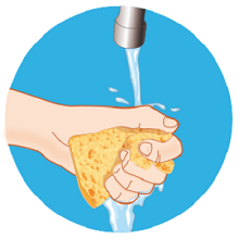 Gratte-Eponge Tradition x2