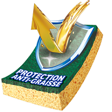 Gratte-Eponge Stop-Graisse x2