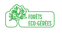 L'Eponge Très verte x2