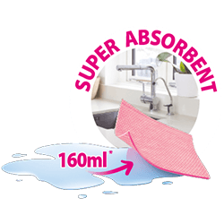 4 Carréponge Anti-bactéries