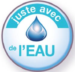 Microfibre Chamoisine x2